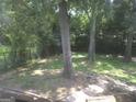 Picturesque backyard featuring mature trees, lush greenery, and a glimpse of a dog exploring at 439 River Rd, Jonesboro, GA 30236