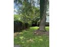 Backyard with chain link fence at 268 Rountree Rd, Riverdale, GA 30274