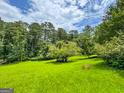 Expansive backyard with vibrant green lawn and mature trees, perfect for outdoor activities and relaxation at 4160 Stonewall Tell Rd, Atlanta, GA 30349