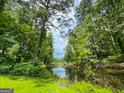 Scenic view of a serene pond surrounded by lush greenery and tall trees, offering a tranquil escape at 4160 Stonewall Tell Rd, Atlanta, GA 30349