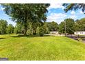 Lush green yard featuring mature trees and space for recreation and relaxation at 80 David Rd, Hampton, GA 30228