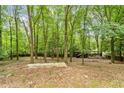 Spacious wooded backyard with a concrete slab, ideal for building or outdoor activities at 841 Hickory Dr, Marietta, GA 30064