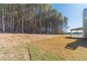 Partially wooded backyard with new sod at 125 Pinewood Dr, Covington, GA 30014