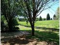 Expansive backyard view with mature trees, a well-kept lawn, and a glimpse of the surrounding green landscape at 10561 E Cherokee Dr, Canton, GA 30115