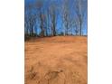 Vacant land ready for new construction with a wooded backdrop and blue sky at 6145 Grindle Rd, Cumming, GA 30041
