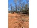 Vacant land ready for new construction with a wooded backdrop and blue sky at 6145 Grindle Rd, Cumming, GA 30041