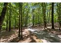 View of the long driveway leading through a tree-lined property, creating a private and scenic approach to the home at 291 Miquel Jorge Ln, Canton, GA 30115