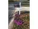 Mailbox with flowers planted below along the roadside at 321 Bouldercrest Way, Woodstock, GA 30188