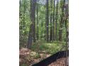A view of the construction area in the backyard with mature trees and undergrowth, providing natural beauty at 542 Palm St, Holly Springs, GA 30115