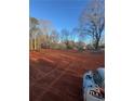 Cleared land prepared for construction with a backdrop of mature trees at 542 Palm St, Holly Springs, GA 30115
