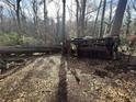 Exterior shot of wooded backyard with fallen tree, debris, and run-down wooden shed at 202 Hayes St, Villa Rica, GA 30180