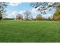 Expansive backyard with lush green grass under a bright blue sky and scattered trees at 3825 Green Ave, Loganville, GA 30052