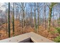 View from deck, showcasing a lush wooded area at 1608 Woodcliff Ne Dr, Atlanta, GA 30350