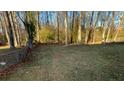 Spacious backyard with mature trees and chain link fence at 206 Sherwood Loop, Mcdonough, GA 30253