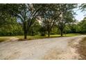 Long gravel driveway leading to a charming house with mature trees at 3241 Briscoe Rd, Loganville, GA 30052