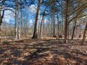 Wooded area with a walking path and plenty of trees at 4258 Hog Mountain Rd, Hoschton, GA 30548