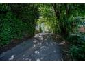 Long, tree-lined driveway leading to the house at 99 Moreland Se Ave, Atlanta, GA 30316