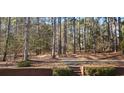 Wooded area with steps leading up to a brick wall at 1030 Lake Haynes Ne Dr, Conyers, GA 30012