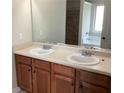 Double vanity bathroom with a large mirror and soaking tub at 252 Magnaview Dr, Mcdonough, GA 30253