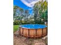 Above-ground pool featuring clear water, surrounded by lush greenery and a wooden plank exterior at 12524 Highway 36, Covington, GA 30014