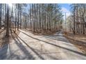 Long concrete driveway surrounded by tall trees leading up to the main house at 10 Moss Landing Se Rd, Acworth, GA 30102