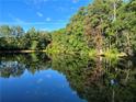 Serene pond reflecting trees and sky, offering a peaceful view at 897 Winding Trl, Lawrenceville, GA 30046