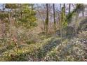 Wooded backyard with mature trees and undergrowth at 605 Spruce Dr, Pine Lake, GA 30072