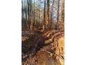 Small creek running through a wooded area at 415 Rockingham Ln, Woodstock, GA 30189