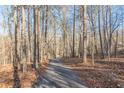 Long driveway leading through a wooded area at 5664 Dorsett Shoals Rd, Douglasville, GA 30135