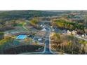 Aerial view of homes and community landscape at 593 Princeton Elm Place, Lawrenceville, GA 30045