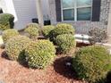 Landscaped front yard with neatly trimmed shrubs and mulch at 2338 Newbury Oaks Dr, Lawrenceville, GA 30044