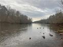 Serene river view with geese, rocky shoreline, and tree-lined banks at 6939 Melody Dr, Buford, GA 30518