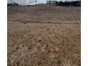 A vacant lot showcases potential for a new home in a serene, wooded location at 307 Willam Gossett Dr, Canton, GA 30114