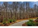 Curving driveway leading to a home nestled in a wooded area at 7760 Pleasant Hollow Ln, Cumming, GA 30041