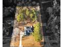 An aerial view of the home, showcasing its spacious lot, mature trees, and a long driveway in a quiet neighborhood at 10 Lindsey Ct, Mcdonough, GA 30252