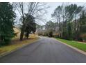 Residential street lined with lush trees and homes at 714 Weatherborn Pl, Stone Mountain, GA 30083