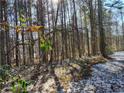 Wooded backyard with a light dusting of snow on the ground at 804 Bankshire Dr, Suwanee, GA 30024