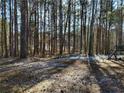 View of wooded area behind the house with a dusting of snow at 804 Bankshire Dr, Suwanee, GA 30024