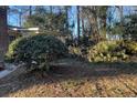 Side yard with overgrown shrubs and trees at 3428 Vandiver Dr, Marietta, GA 30066