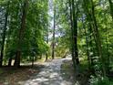 Long driveway leading to a beautiful home through a tree-lined path at 1891 Prospect Church Rd, Lawrenceville, GA 30043