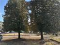 Landscaped yard with two large trees at 2244 Alpha Dr, Decatur, GA 30032