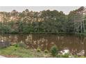 Serene pond view with lush greenery and tree line at 4222 Honey Creek Way, Powder Springs, GA 30127
