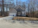 Two-story house with stone accents and a large front yard at 355 Holland Springs Way, Powder Springs, GA 30127