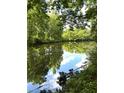 Serene pond view with lush green trees at 2125 Clay Rd, Austell, GA 30106