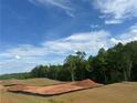 Scenic, level homesite in Suwanee Preserves, offering the perfect blend of nature and convenience in a tranquil setting at 3560 Sky Ln, Cumming, GA 30041