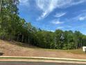 Land lot surrounded by lush trees, ready for your dream home with an easy connection to city water, sewer, and natural gas at 3560 Sky Ln, Cumming, GA 30041
