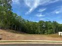 Land lot surrounded by lush trees, ready for your dream home with an easy connection to city water, sewer, and natural gas at 3560 Sky Ln, Cumming, GA 30041