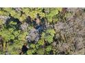 Aerial view shows the property's home surrounded by lush trees, offering tranquility and secluded living at 550 S Rays Rd, Stone Mountain, GA 30083