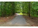 Long gravel driveway winding through a verdant forest, leading to a secluded home at 4156 Holly Springs Rd, Rockmart, GA 30153