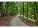 Gravel driveway surrounded by tall trees, creating a serene and private entrance to the property at 4156 Holly Springs Rd, Rockmart, GA 30153